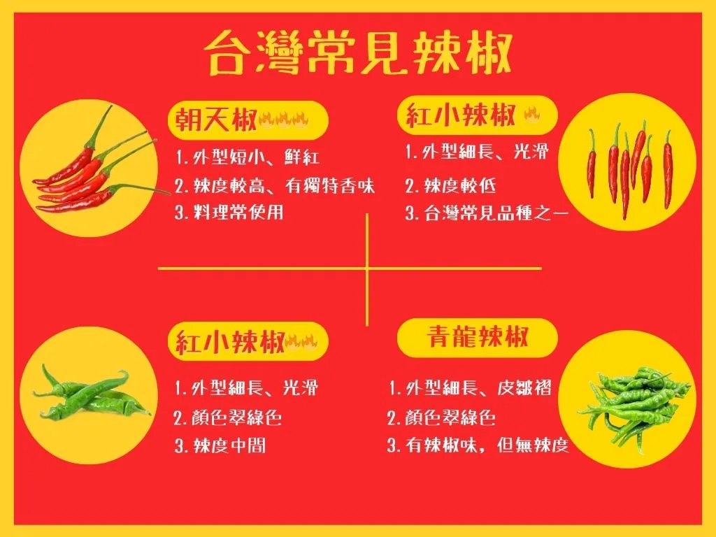 台灣辣椒的知識，你知道幾個?